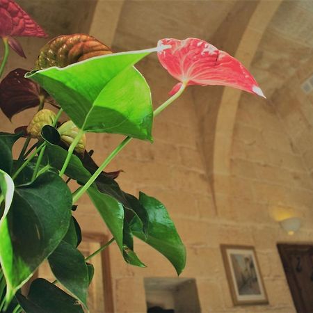 Encanto Vegetarian Bed & Breakfast Bed & Breakfast Xagħra Exterior foto