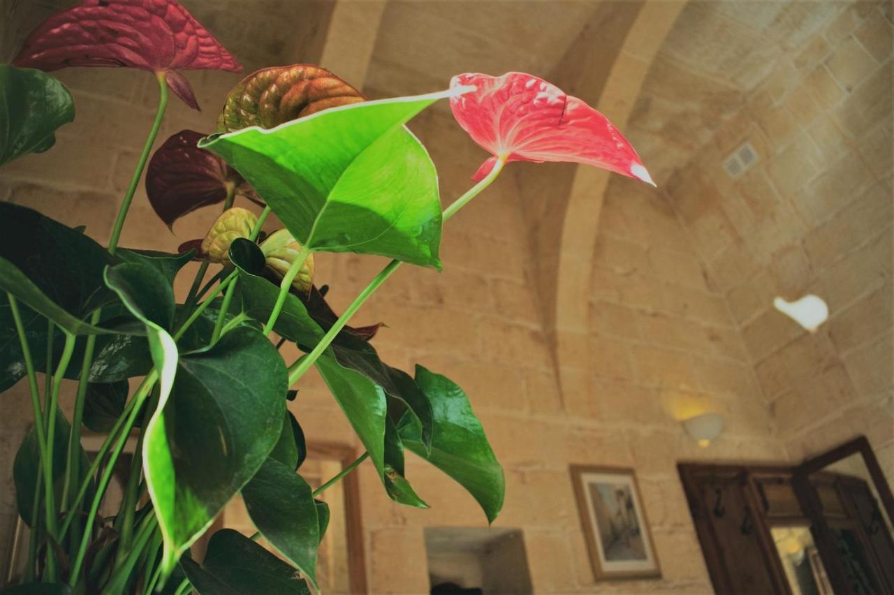 Encanto Vegetarian Bed & Breakfast Bed & Breakfast Xagħra Exterior foto
